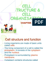 Cell Structure & Cell Organisation