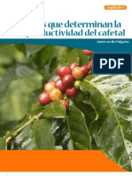 Sistemas de Produccion de Cafe en Colombia Capitulo 3 Factores Productividad