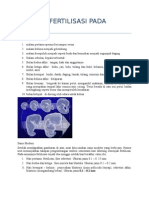 Proses Fertilisasi Pada Manusia