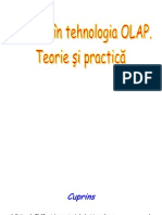 14195805 Iniiere in Tehnologia OLAP Teorie i Practic