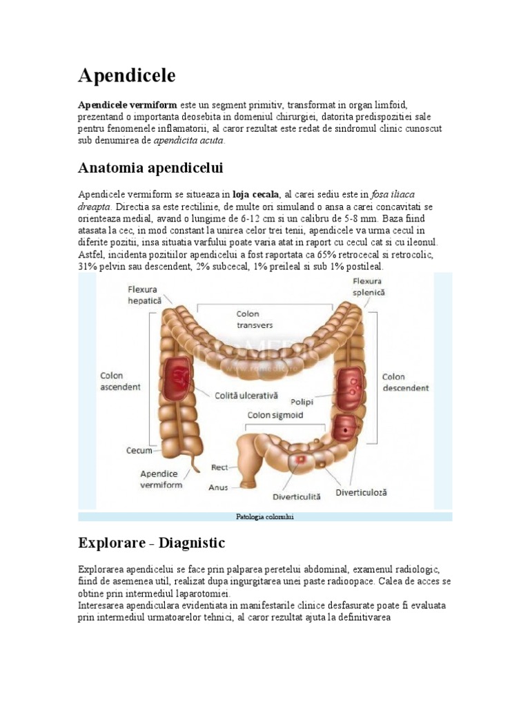 Apendicele | PDF