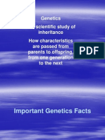 Genetics Facts