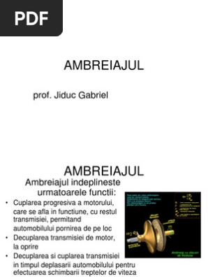 Ambreiajul IncÄƒrcat De Tavi Petrisor