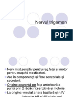 Nervul Trigemen V