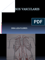 Accesos Vasculares