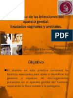 Diagnostico de Las Infecciones Del Aparato Genital PRESENTACION