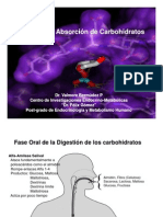 Matalobismo de Carbohidratos