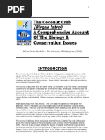 The Coconut Crab