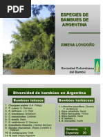Download Especies de Bamb en Argentina by hansoki SN15022036 doc pdf