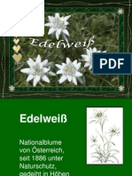 Edelweiss