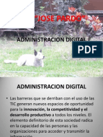 Administracion Digital
