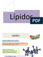 Lipidos