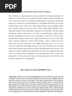 Download Hevea Brasiliensis by Rilahi Zahrah Hrp Eza SN150250293 doc pdf