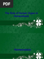 Homeostasis Notes Grade 12 | PDF | Homeostasis | Kidney