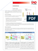 Fases y Tipos de Metabolismo PDF