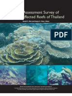Rapid Assessment Survey of Tsunami Affected Corals - Thailand - Report