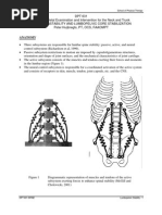 Download Lumbopelvic Stability Syllabus by rapannika SN15033252 doc pdf