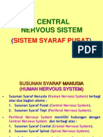 Central Nervous System-B