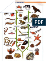 Atlas de Zoología, Santillana