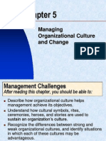 Managing Organizational Culture and Change