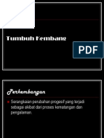 Fase-Tugas Perkembangan