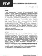 CenariosdoAgronegocio Na Amazonia o Caso Da Dendeicultura