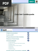 Ciclo Del Contribuyente