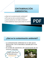 La Contaminación Ambiental - 0