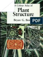 A Colour Atlas of Plant Structure