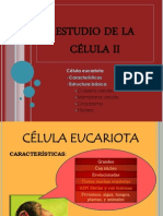 SEMANA 7 - I BIMESTRE - ESTUDIO DE LA CÉLULA II