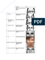 Resumen Unidades de Acción Facial (UAs) de Ekman