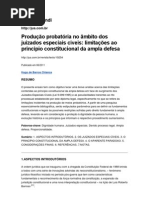 Produção probatória no âmbito dos juizados especiais cíveis- limitações ao princípio constitucional da ampla defesa