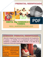 Atencion Prenatal 2013-I