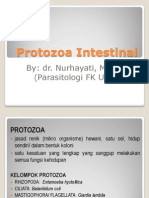 Protozoa Intestinal