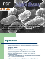 Download My Presentation on Johnes Disease by rohishaak SN150411283 doc pdf