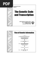 Gene Lecture 11 Transcription