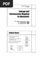 Download Genetics Finals by Renz L Salumbre SN15041455 doc pdf
