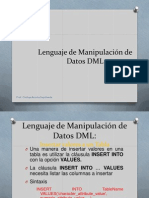 DML ParteI