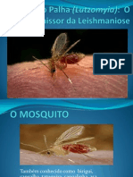 Mosquito Palha -Parasito