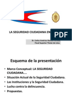 1-3laseguridadciudadanaenelper-101109093052-phpapp02