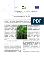 Vulnerabilidad de Los Bosques y Sus Servicios Ambientales Al Cambio Climático