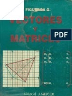 79897402 Vectores y Matrices Figueroa Garcia Copia