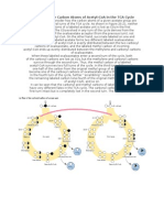 The Fate of The Carbon Atoms of Acetyl