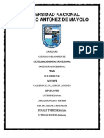 DELEGACION DE AUTORIDAD.docx