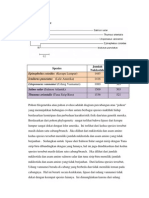 Pohon Phylogenetic