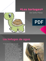 Las Tortugas