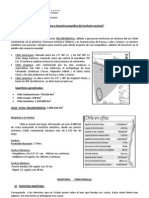 Guía clase 2.pdf