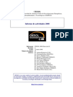 Informe Ciesol-2008