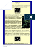 Live Blood Analysis