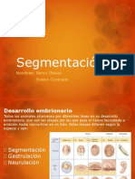 Segmentación Holoblástica y Meroblástica 2